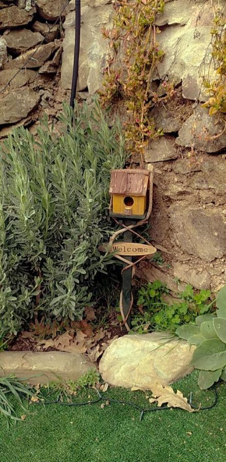 La Casa De Los Bonales Arroyomolinos de León Exteriér fotografie